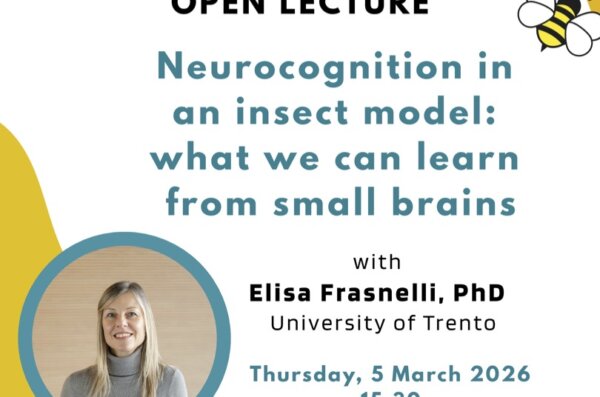 SYNCC-IN open seminar